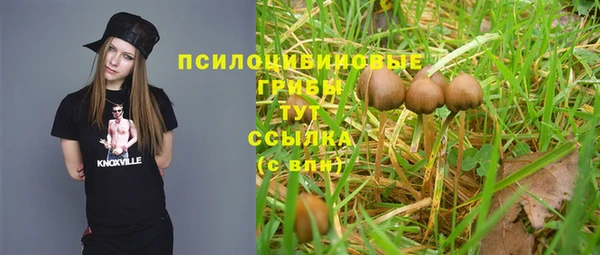 Альфа ПВП Абаза